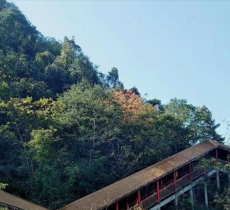 环山公园