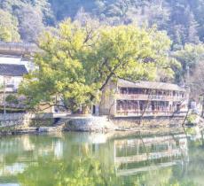 上坦村