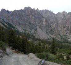 贺兰山原始森林