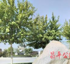富平县昌平公园