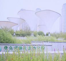 青岛唐岛湾