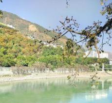 青山公园