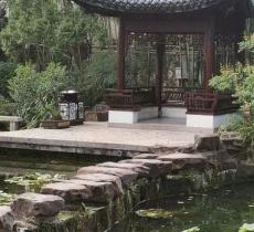 八一公园