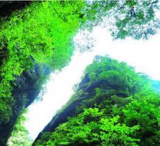 金丝峡景区