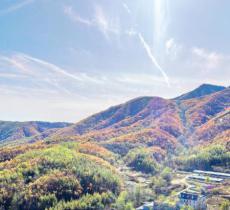 银石滩森林公园