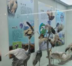 西北农林科技大学博览园动物博物...