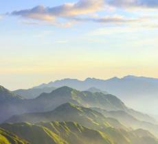 高山草甸