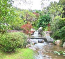 菜阳河国家森林公园