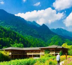 上坝河国家森林公园