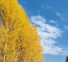 碧莲雪山七莲湖