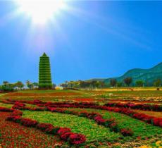 泾河智慧农业园