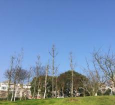 东湖公园