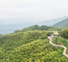 径山古道