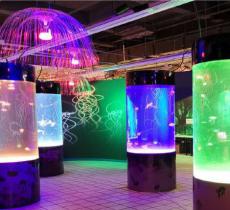 吴忠BHG鲨鱼海洋乐园