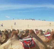 大漠丝路奇观景区