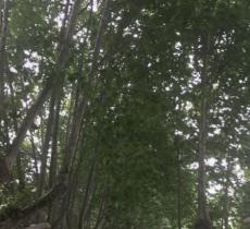 西北工业大学明德学院