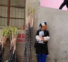 箐口哈尼民俗村