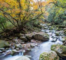 米仓山古栈道