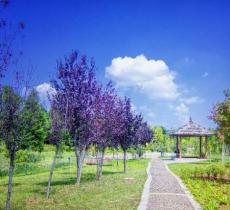 和园嵩明园博园