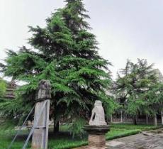 兴平市博物馆