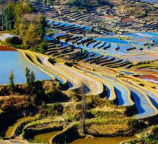 老鹰嘴梯田