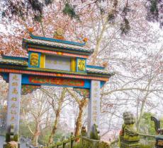 化成禅寺