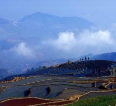 哀牢山国家级自然保护区