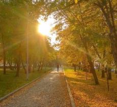 咸阳市沣河森林公园