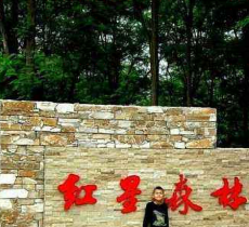 长武县红星森林公园景区