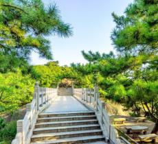 北岭山森林公园