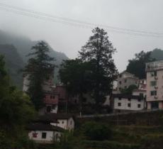 上西村