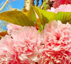 汇香坊香薰图书馆