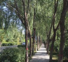 仕奇公园