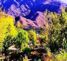 大川生态旅游区