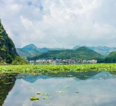 普者黑天鹅湖-观景台