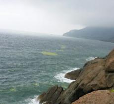 竹岔岛
