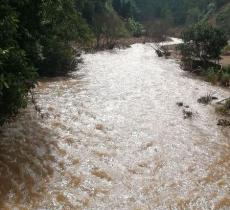 阿倮欧滨森林公园