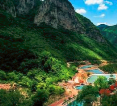 杨岐山