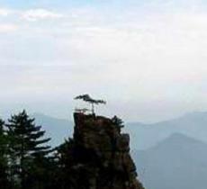 龙塘山