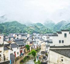芹川村