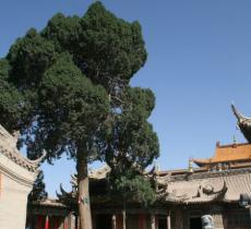 延福寺