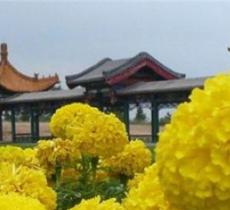 南山公园
