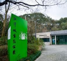 江洋畈生态公园