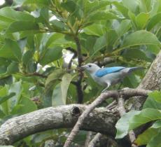 黄连山自然保护区
