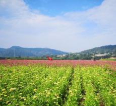 张家湾河滨公园