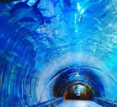 华夏文旅海洋公园