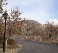 大武口森林公园