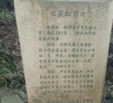 七星亭