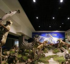 陕西自然博物馆