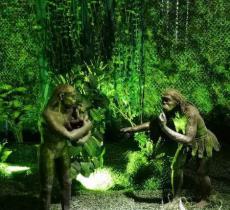 元谋猿人博物馆